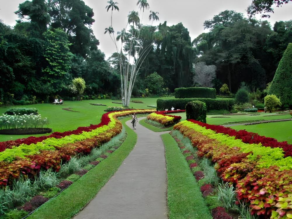 single tree hotel nuwara eliya