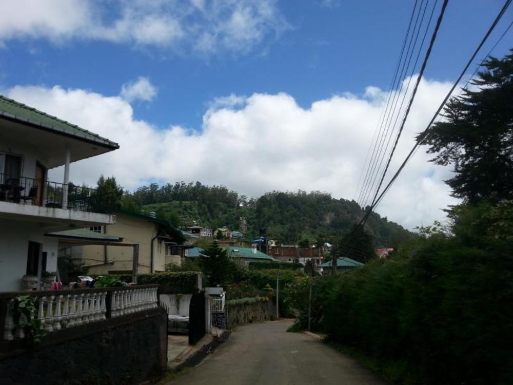 single tree hotel nuwara eliya