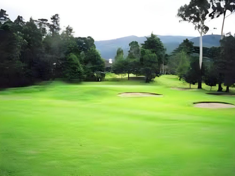 single tree hotel nuwara eliya