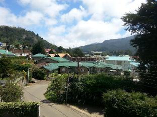 single tree hotel nuwara eliya