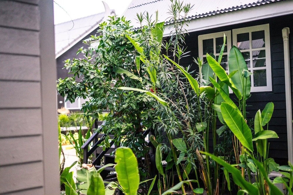 luna hut resort hua hin