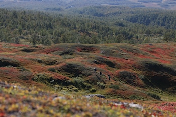 stf hemavans fjallcenter