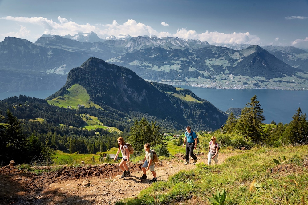 rigi kaltbad swiss quality hotel