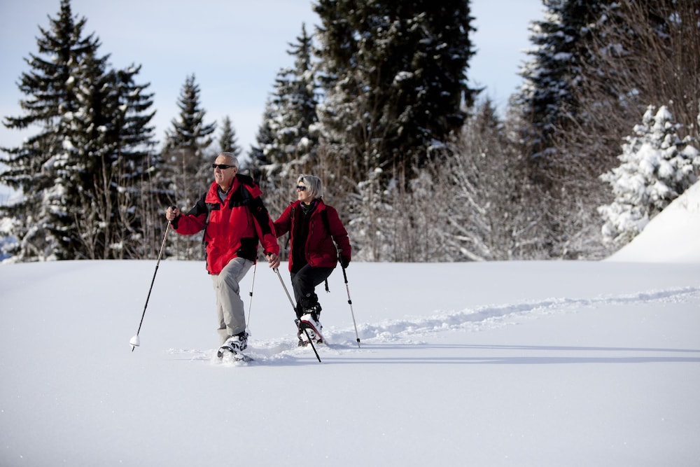 rigi kaltbad swiss quality hotel
