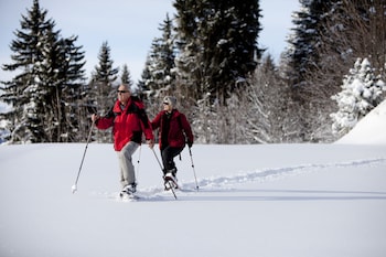 Rigi Kaltbad Swiss Quality Hotel,Rigi Kaltbad>>Lake Lucerne,4 star