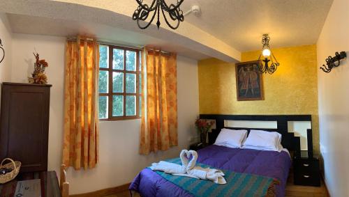 hostal qolqampata