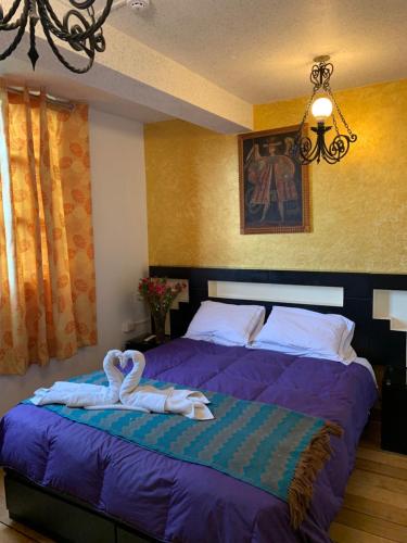 hostal qolqampata