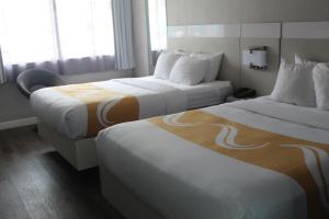 quality inn and conference center tampa brandon