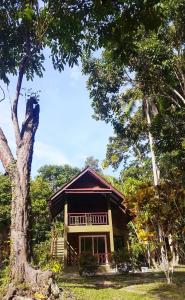 joy bungalow