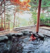 the park hotel jodogahama