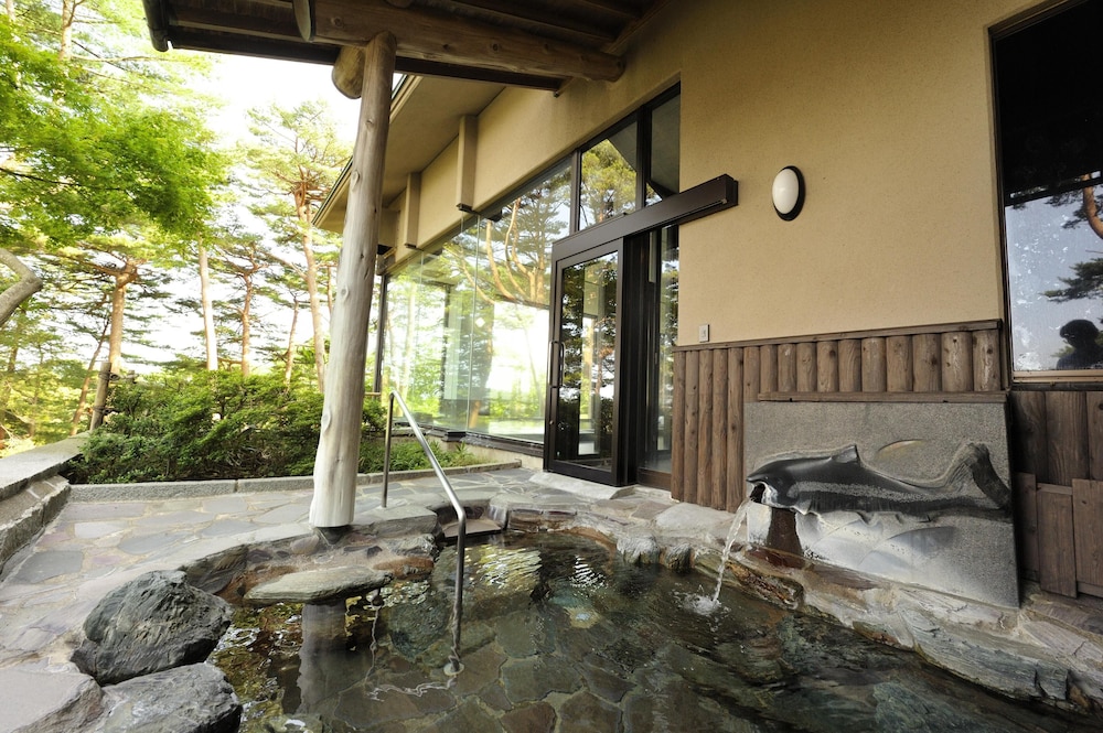 the park hotel jodogahama