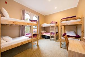 the prince albert backpackers and bar