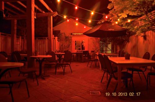 the prince albert backpackers and bar
