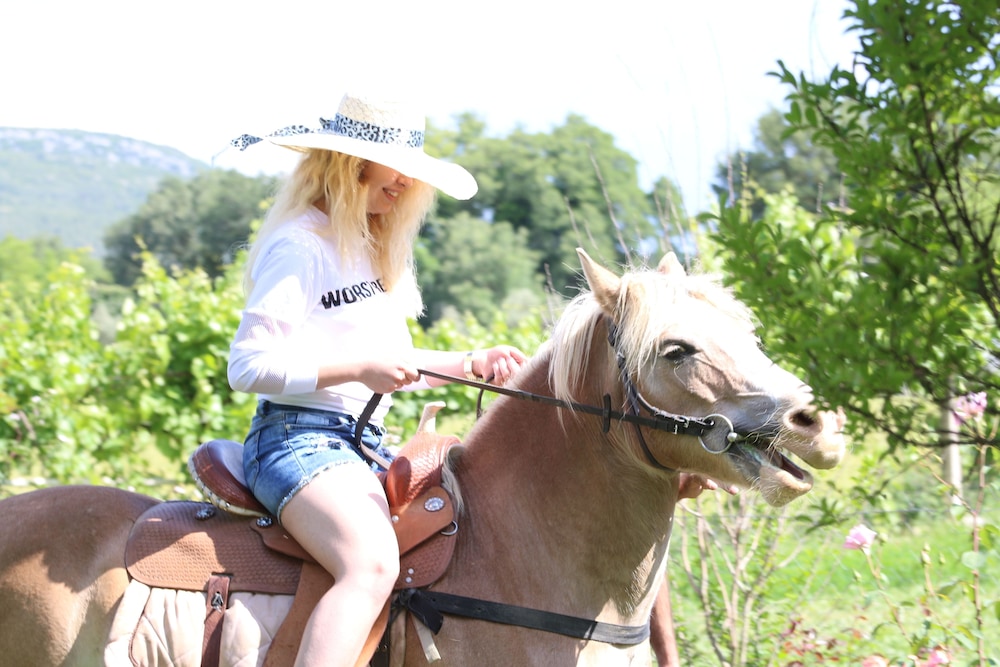 mogla tashan boutique otel