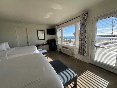 santa cruz