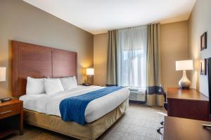 comfort inn south chesterfield colonial heights