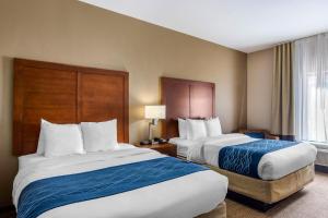 comfort inn south chesterfield colonial heights