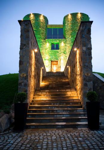 chateau copsa complex