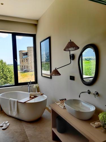 chateau copsa complex