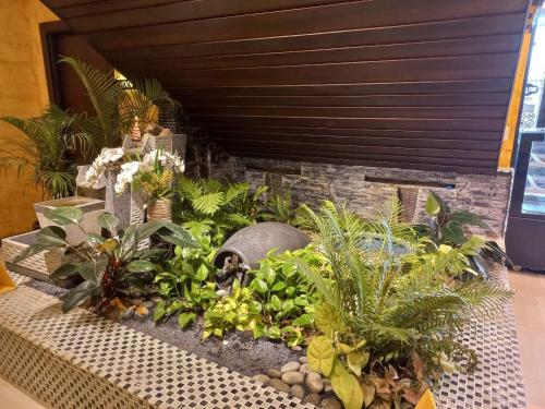 Gm Hotel @ Changlun,Bukit Kayu Hitam>>Alor Setar,1 star