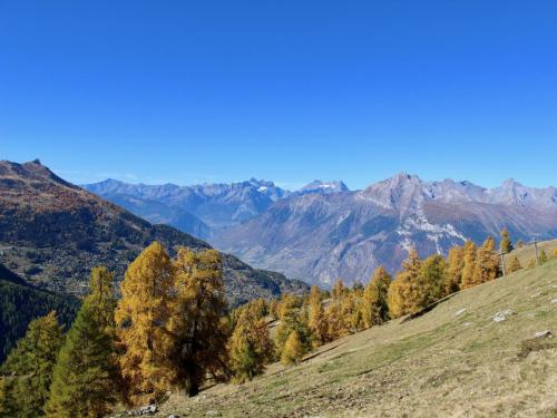 Spacious Apartment With Balcony,De La Telecabine,83,Haute-Nendaz,Nendaz,2 star
