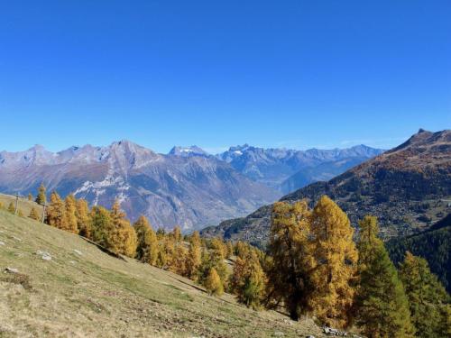 Spacious Apartment With Balcony,De La Telecabine,83,Haute-Nendaz,Nendaz,2 star