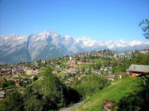 Spacious Apartment With Balcony,De La Telecabine,83,Haute-Nendaz,Nendaz,2 star