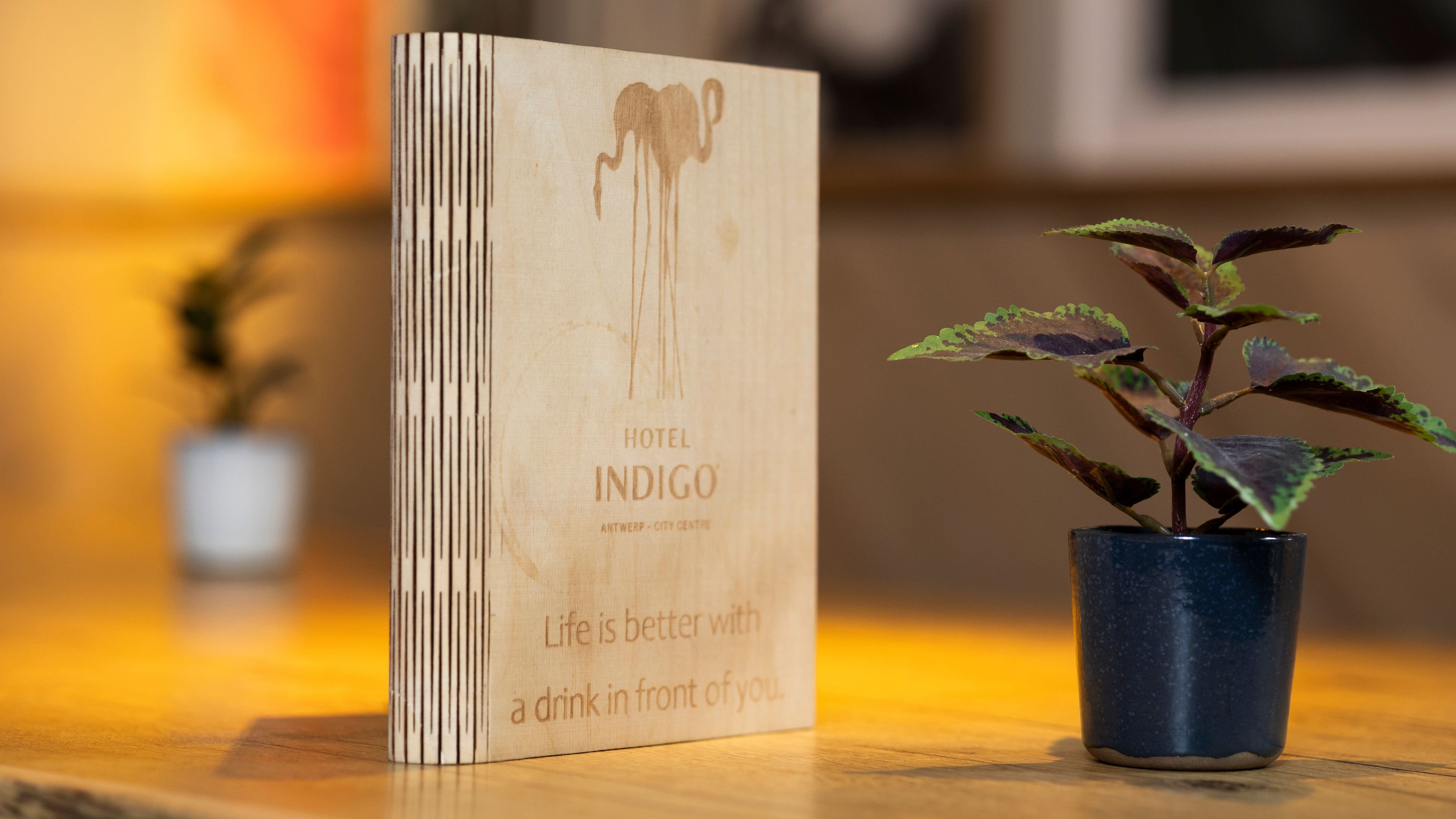 hotel indigo antwerp city centre by ihg