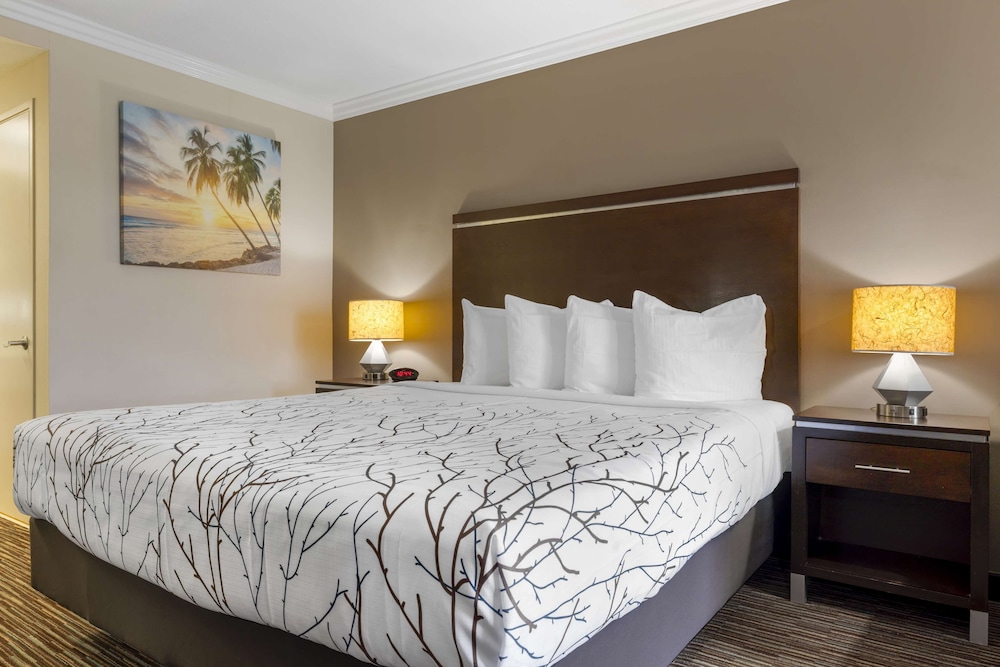 best western redondo beach galleria inn
