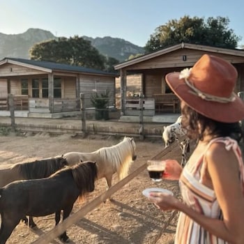 les chalets de tesa