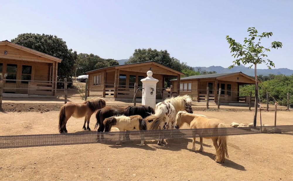 les chalets de tesa