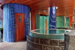hilton reykjavik nordica