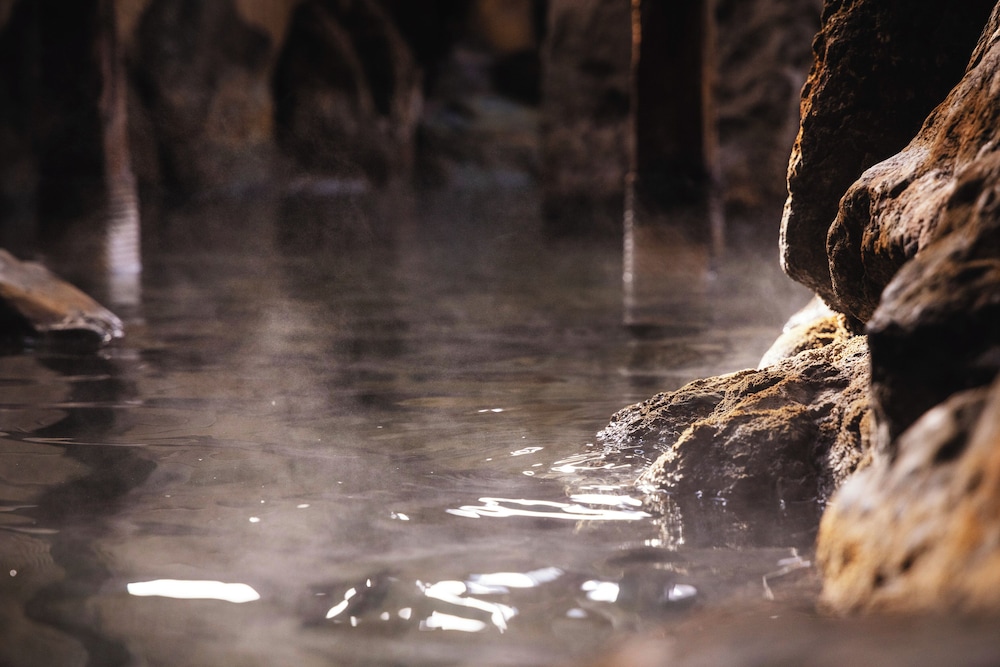 ibusuki onsen hotel syogetsu