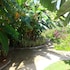 beach garden hotel
