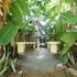 beach garden hotel