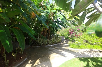 beach garden hotel