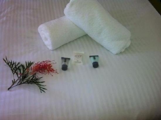 Hunter Valley Retreat,Caves Beach>>Bellbird,4 star