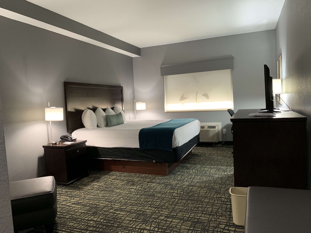 best western plus olive branch hotel and suites