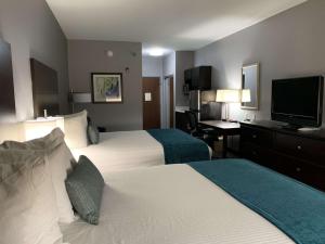 best western plus olive branch hotel and suites