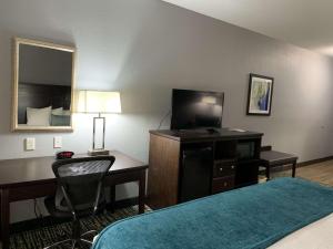 best western plus olive branch hotel and suites
