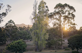 porongurup