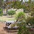 porongurup