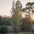porongurup
