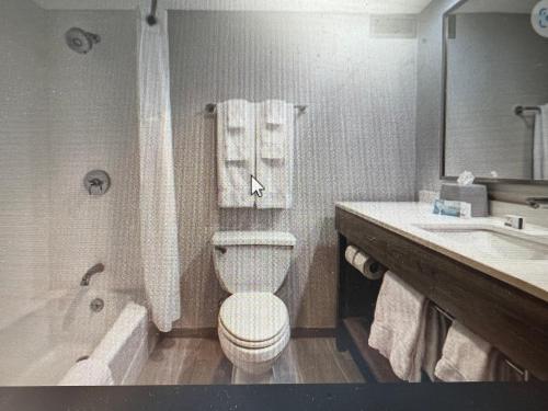 holiday inn express and suites central omaha by ihg
