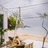 agia anna living