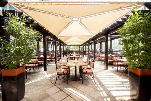 avenue hotel