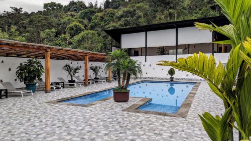 mindo