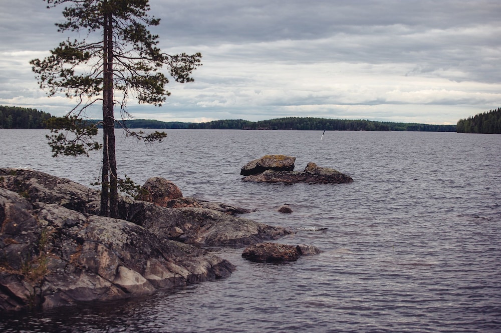 saimaa life and light