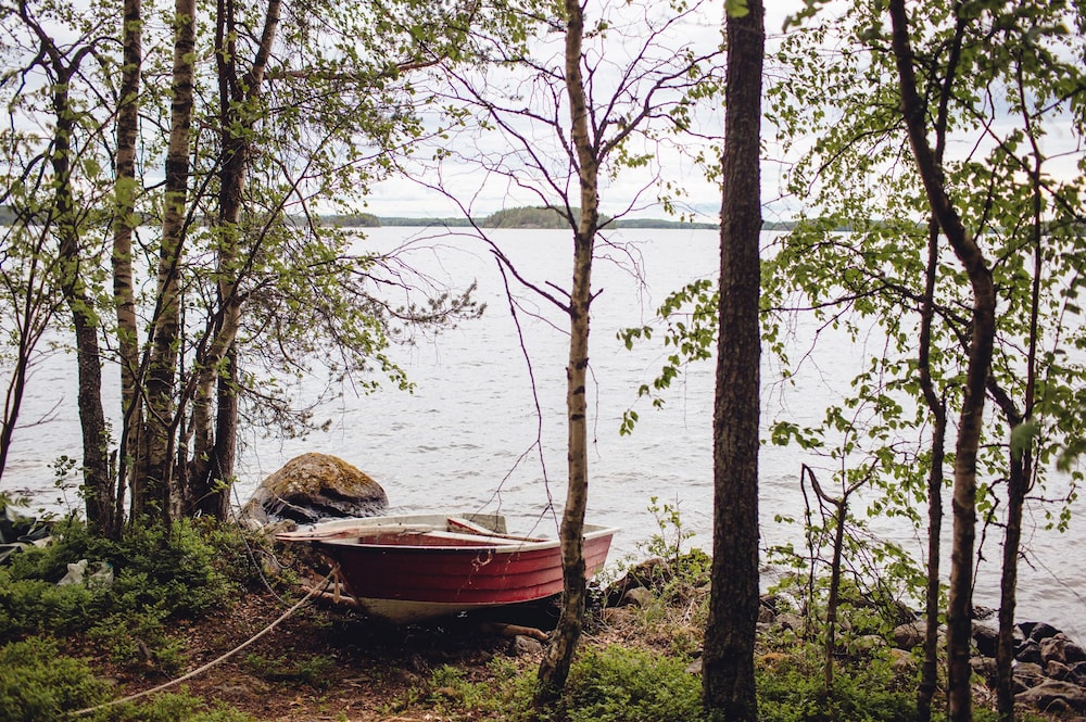 saimaa life and light
