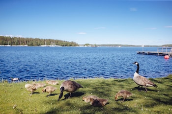 saimaa life and light